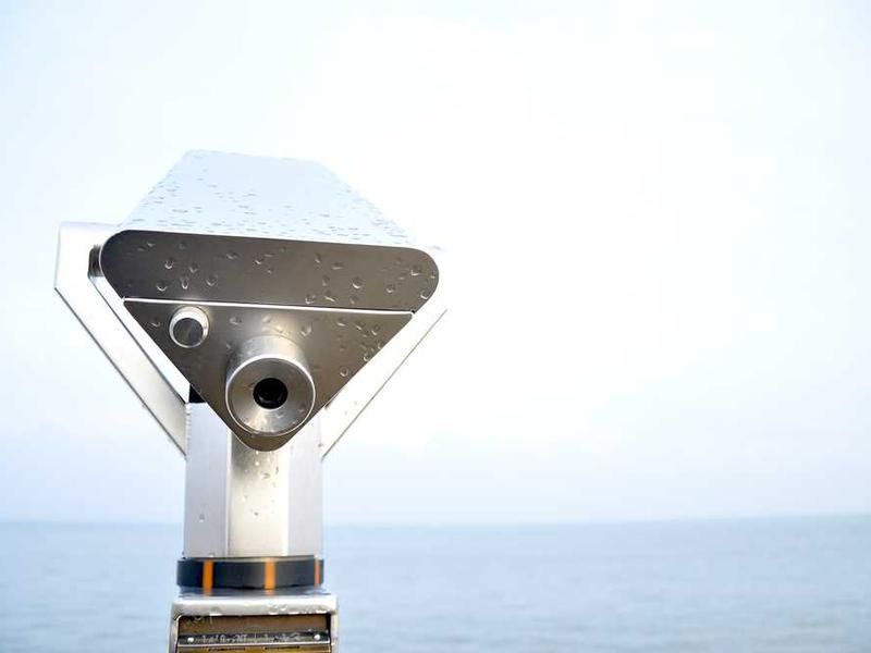 Patrícia Isabel Martins